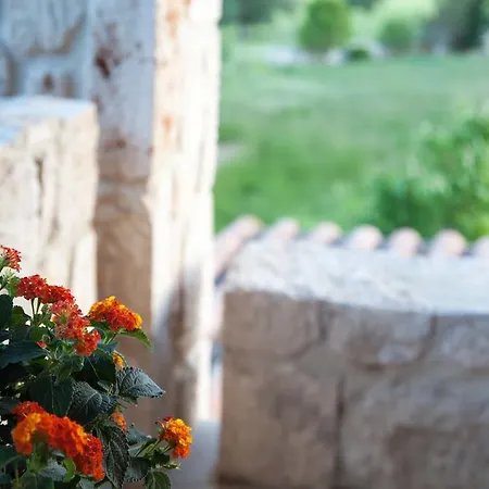 Διαμέρισμα Helen's Stone House *